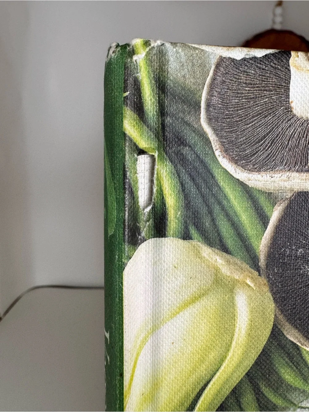 Vegetarian Bible - Green and Multi Color Cover